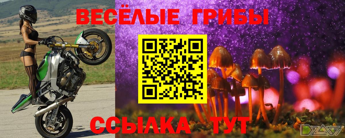 Шебекино  Галлюциногенные грибы Psilocybine cubensis  Псилоцибиновые грибы Cubensis  Вход с VPN 